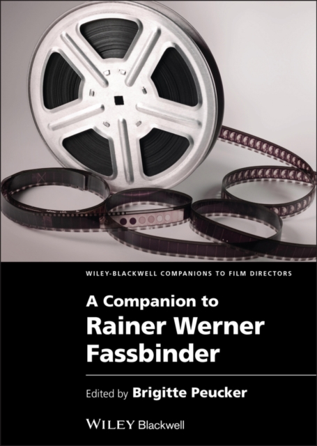 A Companion to Rainer Werner Fassbinder, PDF eBook