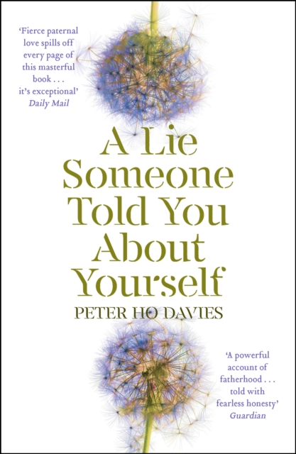 A Lie Someone Told You About Yourself, EPUB eBook