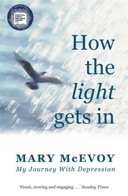 How The Light Gets In : My Journey with Depression, Paperback / softback Book