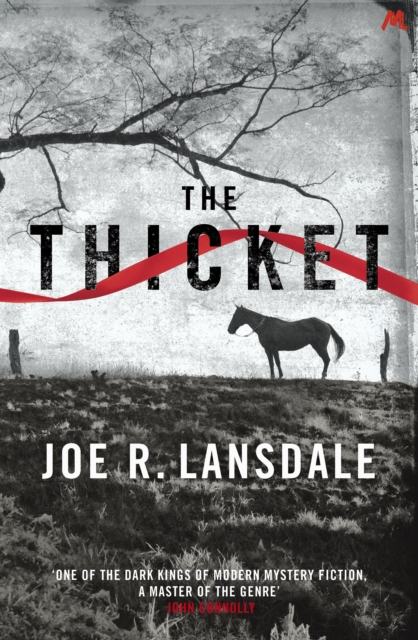 The Thicket, Paperback Book