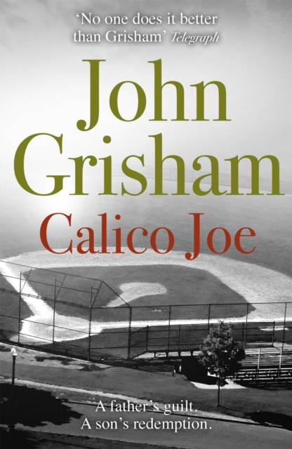 Calico Joe : An unforgettable novel about childhood, family, conflict and guilt, and forgiveness,  Book