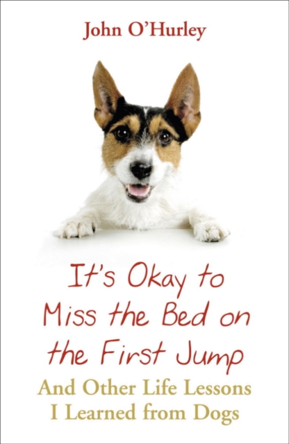 It's OK to Miss the Bed on the First Jump, EPUB eBook
