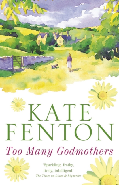 Too Many Godmothers, EPUB eBook