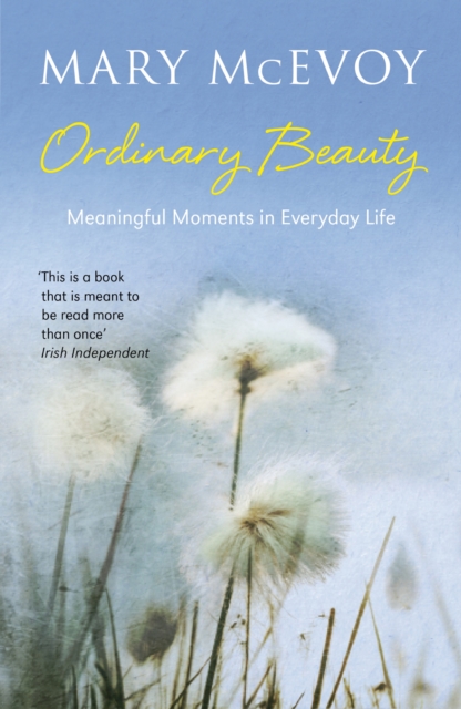 Ordinary Beauty : Meaningful Moments in Everyday Life, EPUB eBook