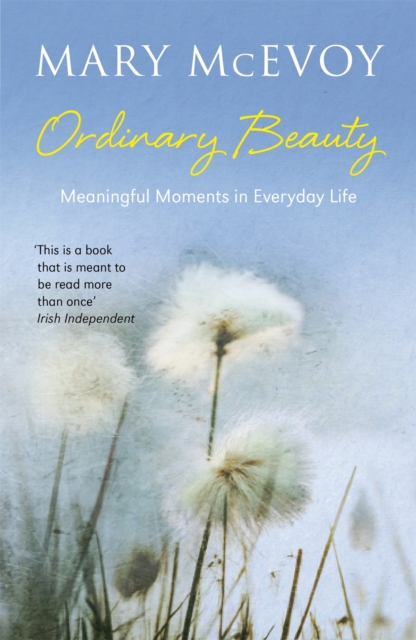 Ordinary Beauty : Meaningful Moments in Everyday Life, Paperback / softback Book