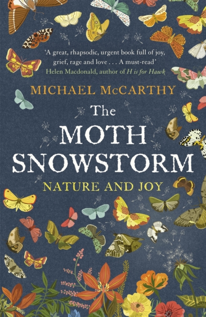 The Moth Snowstorm : Nature and Joy, Paperback / softback Book