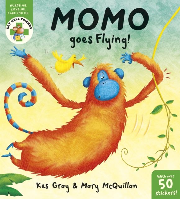 Get Well Friends: Momo Goes Flying, Paperback / softback Book