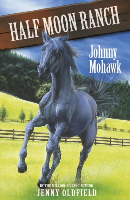Johnny Mohawk : Book 4, EPUB eBook