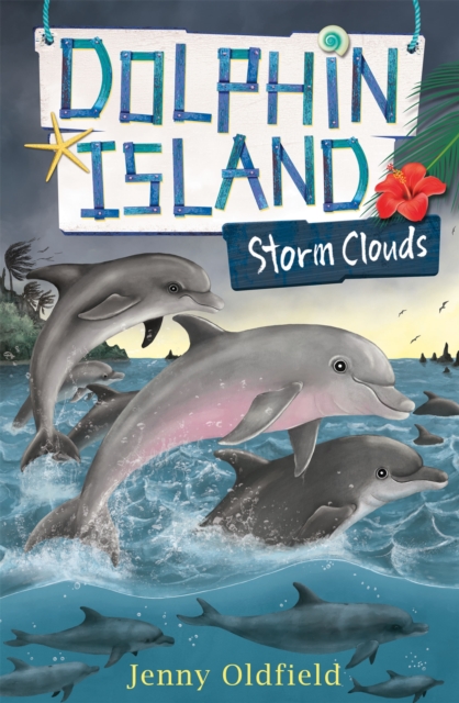 Dolphin Island: Storm Clouds : Book 6, Paperback / softback Book