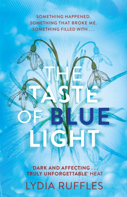 The Taste of Blue Light, Paperback / softback Book