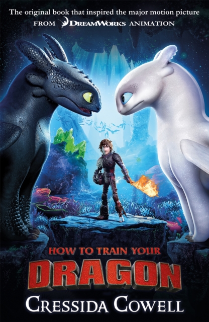 How to Train Your Dragon FILM TIE IN (3RD EDITION) : Book 1, Paperback / softback Book