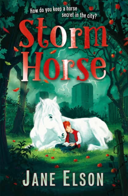 Storm Horse, Paperback / softback Book