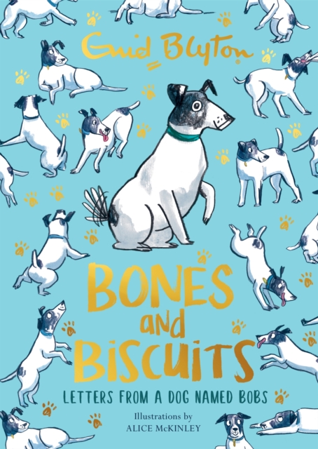 Bones and Biscuits : Letters from a Dog Named Bobs, Hardback Book