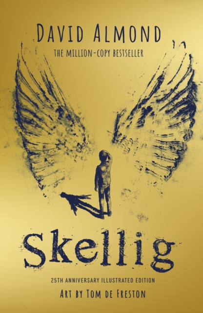 Skellig: the 25th anniversary illustrated edition, Hardback Book