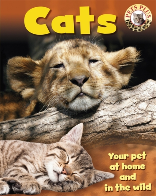 Pets Plus: Cats, Paperback / softback Book