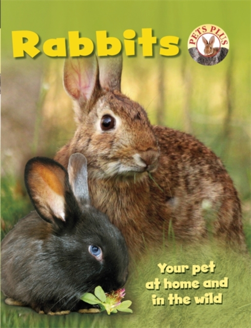 Rabbits, Paperback Book