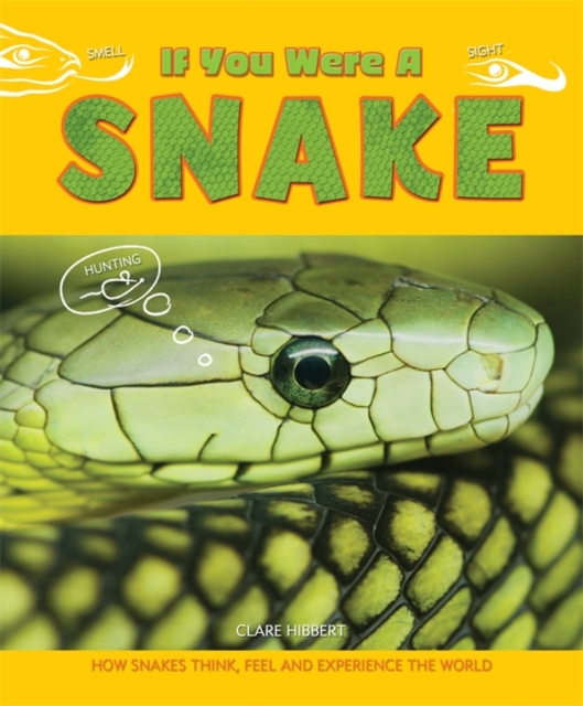 Snake, Hardback Book