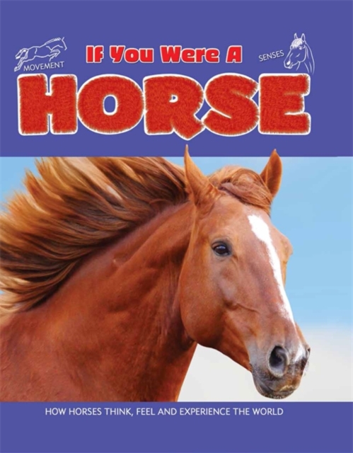 If You Were a Horse, Hardback Book