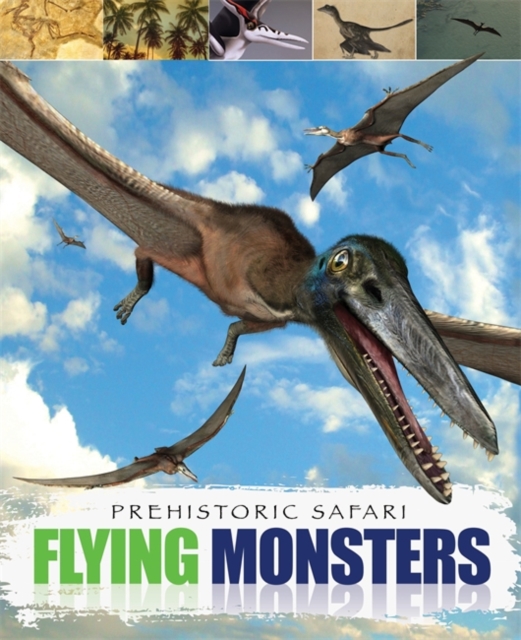 Flying Monsters, Paperback Book