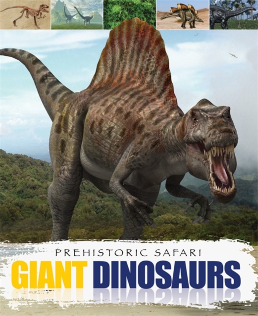 Giant Dinosaurs, Paperback Book
