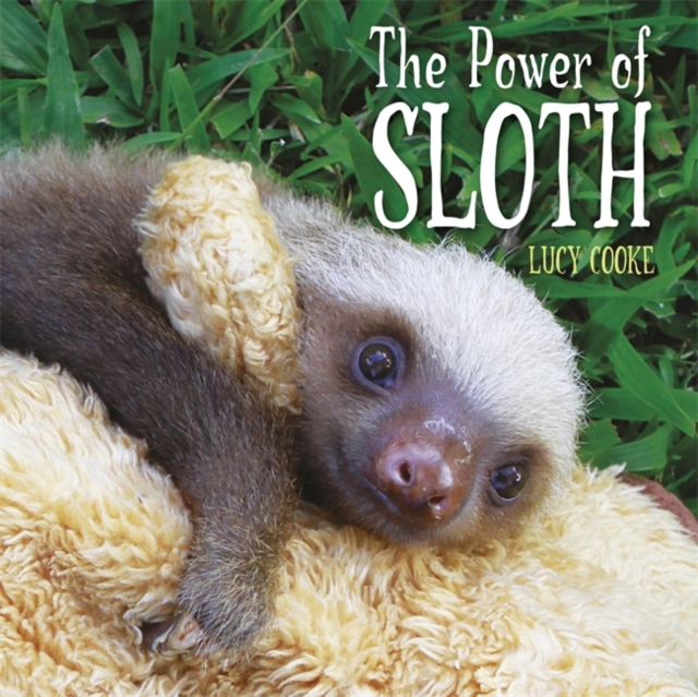 The Power of Sloth, Hardback Book