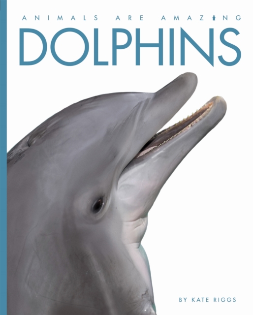 Animals Are Amazing: Dolphins, Paperback / softback Book