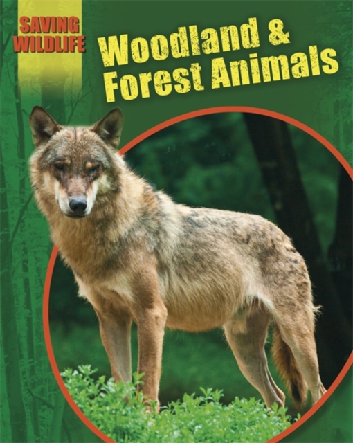 Saving Wildlife: Woodland and Forest Animals, Paperback / softback Book