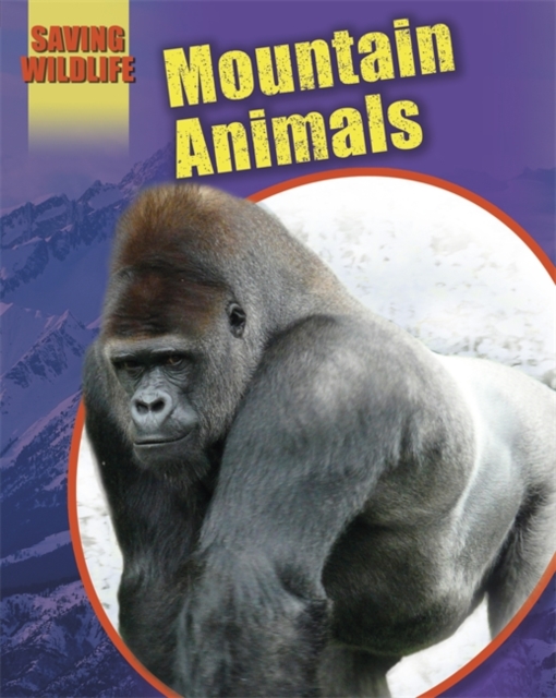 Mountain Animals, Paperback Book