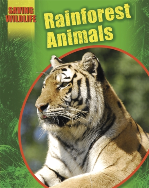 Saving Wildlife: Rainforest Animals, Paperback / softback Book