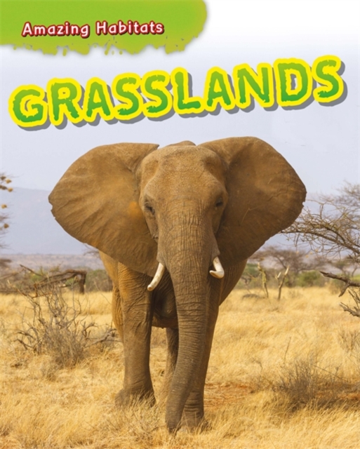Amazing Habitats: Grasslands, Hardback Book