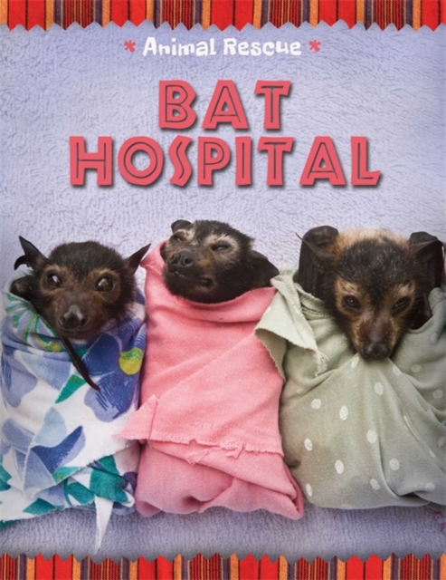 Animal Rescue: Bat Hospital, Hardback Book