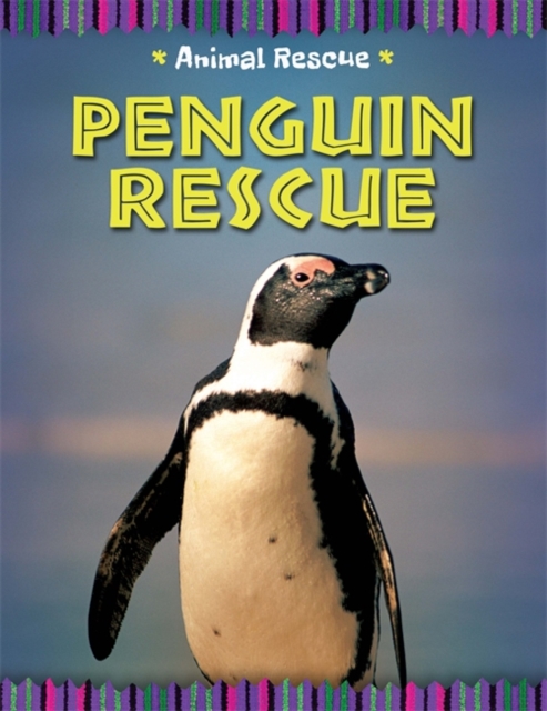 Animal Rescue: Penguin Rescue, Hardback Book