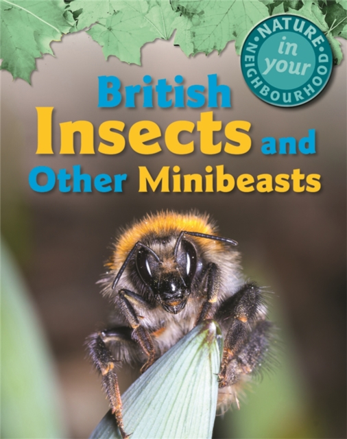 Nature in Your Neighbourhood: British Insects and other Minibeasts, Paperback / softback Book