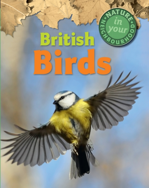 Nature in Your Neighbourhood: British Birds, Paperback / softback Book