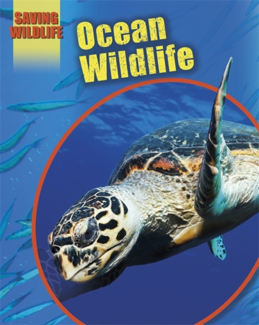 Saving Wildlife: Ocean Wildlife, Paperback / softback Book