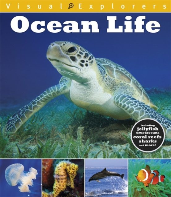 Visual Explorers: Ocean Life, Hardback Book