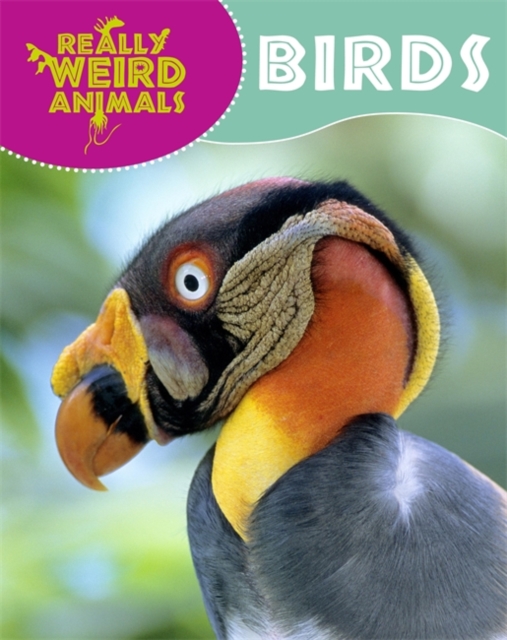 Really Weird Animals: Birds, Paperback / softback Book