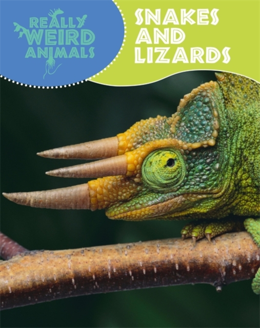 Really Weird Animals: Snakes and Lizards, Paperback / softback Book
