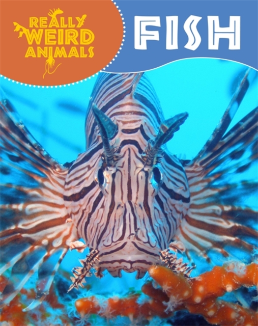Really Weird Animals: Fish, Paperback / softback Book