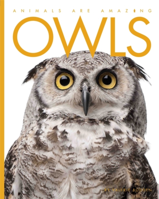 Animals Are Amazing: Owls, Paperback / softback Book