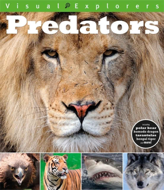 Visual Explorers: Predators, Paperback / softback Book