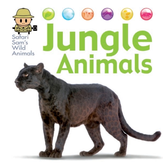 Safari Sam's Wild Animals: Jungle Animals, Hardback Book