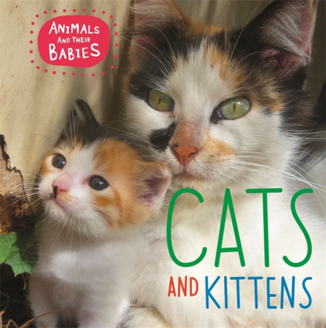 Animals and their Babies: Cats & kittens, Hardback Book