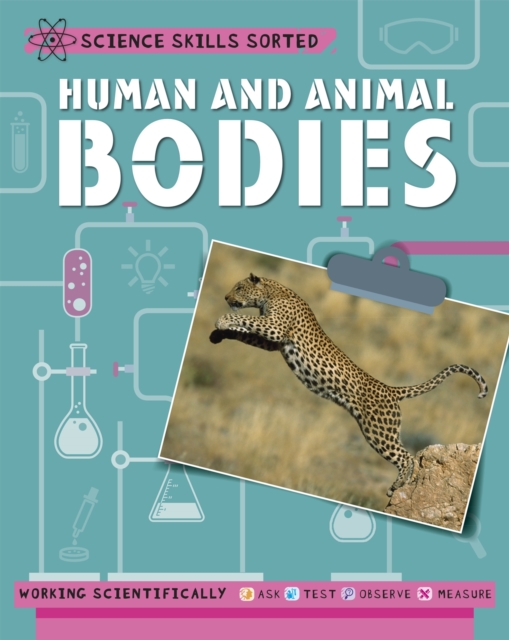 Science Skills Sorted!: Human and Animal Bodies, Hardback Book