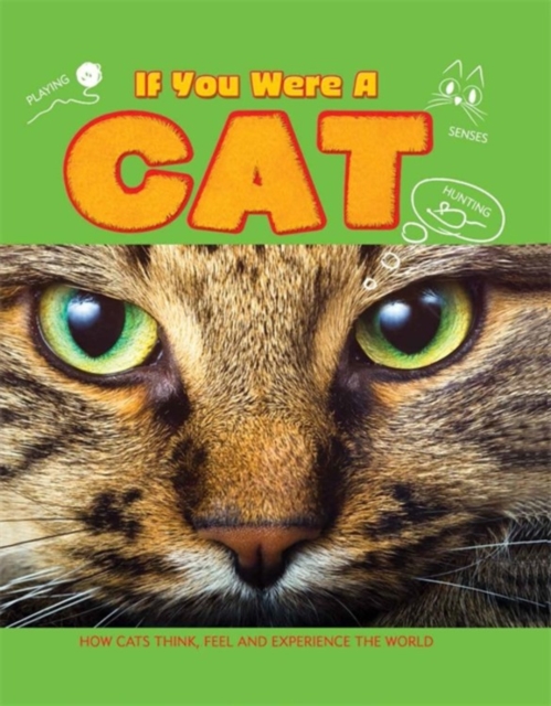 If You Were a Cat, Paperback / softback Book