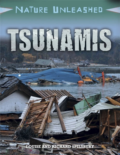 Nature Unleashed: Tsunamis, Hardback Book