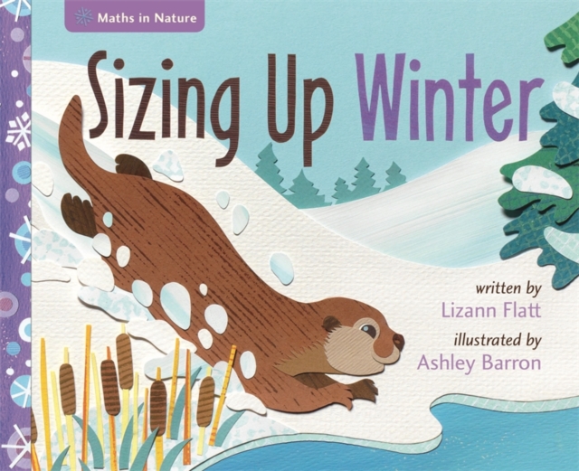 Maths in Nature: Sizing Up Winter, Hardback Book