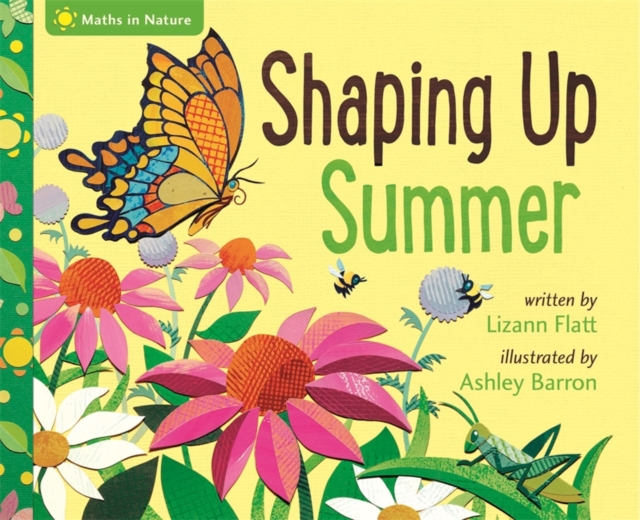 Maths in Nature: Shaping Up Summer, Hardback Book