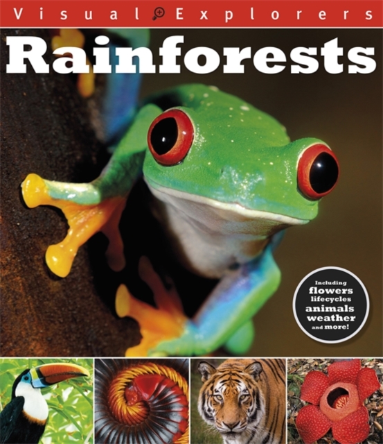 Visual Explorers: Rainforests, Paperback / softback Book