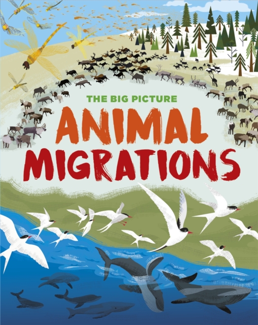 The Big Picture: Animal Migrations, Paperback / softback Book